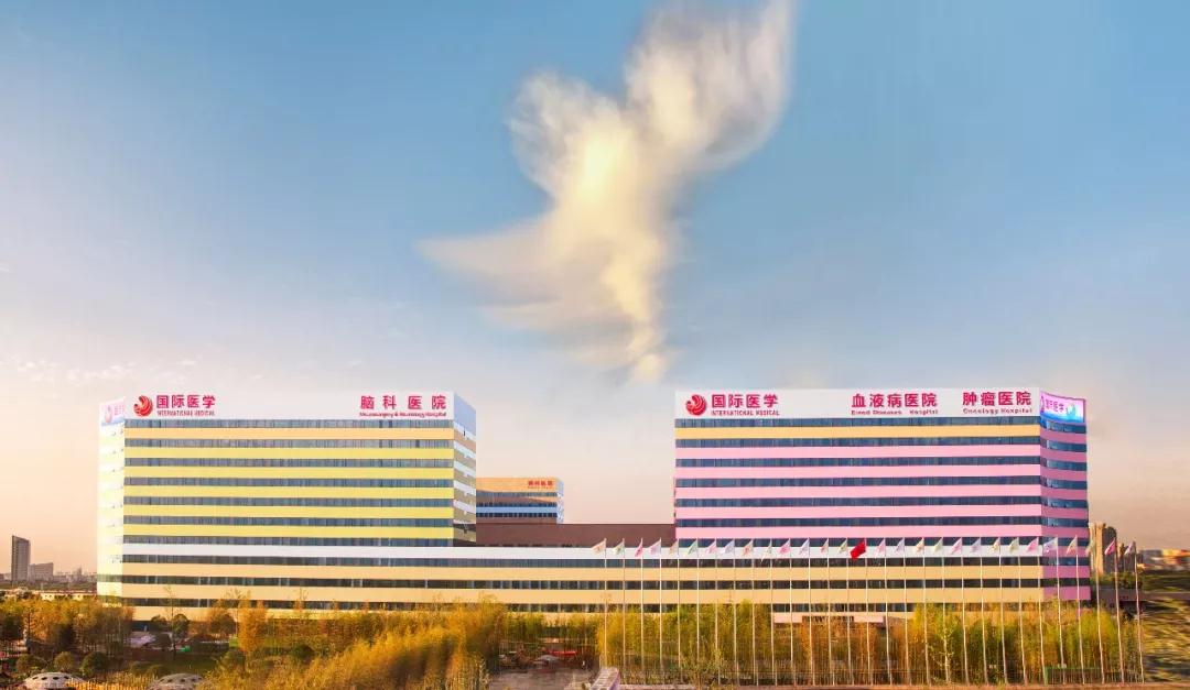 我院援鄂醫(yī)療隊榮獲陜西省抗擊新冠肺炎疫情先進集體 王海昌、韓新鵬、陳麗獲陜西省抗擊新冠肺炎疫情先進個人