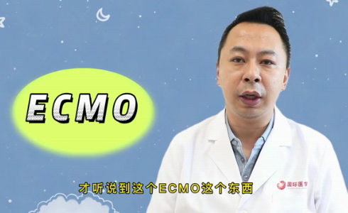 什么是ECMO？