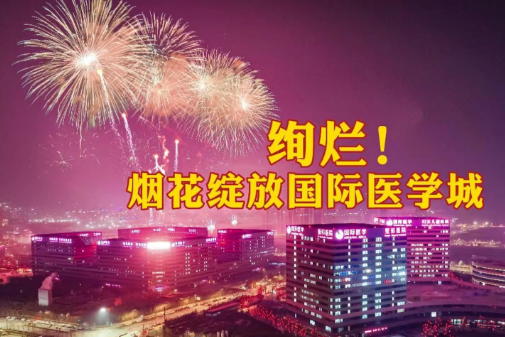 絢爛！煙花綻放國際醫(yī)學城
